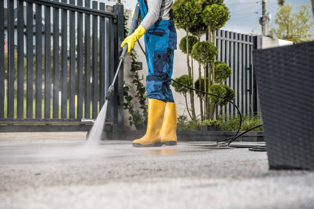 Best Sidewalk and Walkway Cleaning  in Clayton, NC